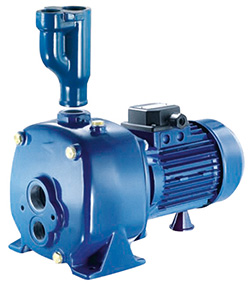 Pompe de puits immergée installée dans un puits domestique pour une alimentation en eau autonome