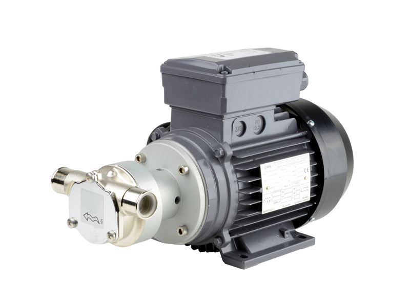 Pompe de transfert - A rotor flexible <br><span>Monophasé 230v - 0,24 kW</span>